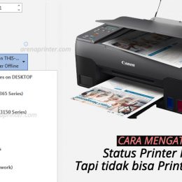 Penyebab dan cara mengatasi printer ready tetapi tidak bisa print